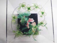 https://images.plurk.com/bDGgfM7o69PnQXB92kSbY.jpg