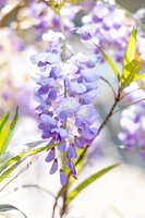 https://images.plurk.com/bUL1ixNnCLqhsNW2xhIun.jpg