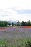 https://images.plurk.com/bXyGz3KykMR1H9OLRmrbc.jpg