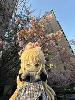 https://images.plurk.com/bbcak8YvxejX2ZftsrlOm.jpg