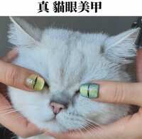 https://images.plurk.com/bkujLDRTviyzTx9lOfbe6.jpg