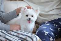 https://images.plurk.com/bldbQe6tXl8I9hRNOcPeO.jpg