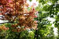 https://images.plurk.com/bqWt9dYoASc2mDoHd8skZ.jpg