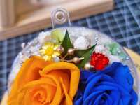 https://images.plurk.com/btylkFNOUq5zPxIrNS6nw.jpg