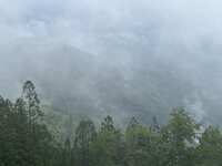 https://images.plurk.com/bu5y1cj5kwlq806kocErK.jpg