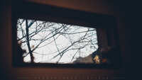 https://images.plurk.com/c23XD5wnOEr0GzzOsPTiO.jpg