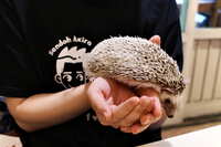https://images.plurk.com/c9mm6alAFikgkvWnm2Fte.jpg