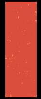 https://images.plurk.com/cGM6ezMHaMzqMEVuQxE1e.png