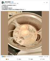 https://images.plurk.com/cHhPh54pFuS2pfNnIkZTx.jpg