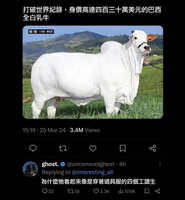 https://images.plurk.com/cNWzYxj3kQEnfzgkwdC0I.jpg
