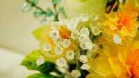https://images.plurk.com/cUf4qZmxqoMz5VBNhJLaP.jpg