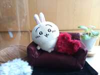 https://images.plurk.com/cW1WJujiobDcydY5dTd6.jpg