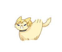 https://images.plurk.com/cdXNWqx4LsF8hGs35t3wW.jpg