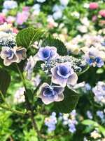 https://images.plurk.com/cfxgTuAXL3U0znDP152rh.jpg