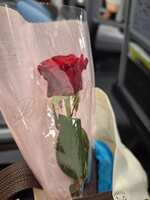https://images.plurk.com/d1AEW8OmntiCfGGUTwhQ4.jpg