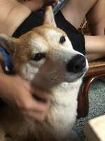 https://images.plurk.com/d1GFRSsWEPG4T254MXMaW.jpg