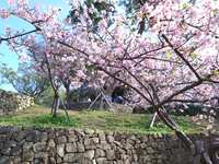 https://images.plurk.com/d88d2JCvlKIlRkS2y1ygo.jpg