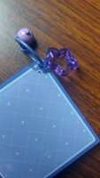 https://images.plurk.com/dDGR9Z8BBkwR33l0NvtAe.png
