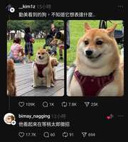https://images.plurk.com/dJmeYmFm4Jr2hhv5Yt7VQ.jpg