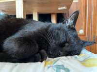 https://images.plurk.com/dLkgf1Nwgk8VCwt3qKKrV.jpg