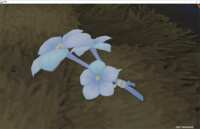 https://images.plurk.com/dUSMYOArhTgYBGrXsCQI9.png