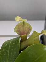 https://images.plurk.com/dYOTlE6B8gXeCYiyX81oh.jpg