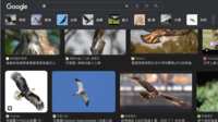https://images.plurk.com/daHae8tmd7QuPrmzzUEsB.png