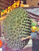 https://images.plurk.com/dbdnFDlKeJJ2DIPdQCOui.jpg
