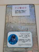 https://images.plurk.com/ddG7W5IvYWtYStMCYxBdA.jpg