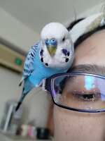 https://images.plurk.com/dj27ZlFzAckVMe6Kf1is6.jpg