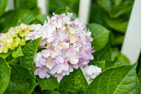 https://images.plurk.com/dkDdnpRvY2uGVY4s63Q8G.jpg
