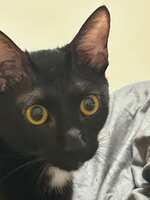 https://images.plurk.com/dnZPlxd8qvQnYArUtoGjV.jpg