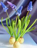 https://images.plurk.com/dqbh1a3NJdjd2AxL3xCXr.jpg