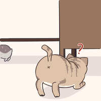 https://images.plurk.com/dv1dSQiLutg8KRSRJZDoo.jpg