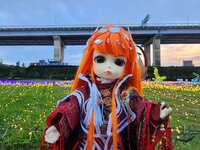 https://images.plurk.com/e452TGMyu7o94rrUXPmHj.jpg