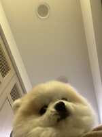 https://images.plurk.com/e53vUGyJtNEwiVWGysFAp.jpg