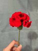 https://images.plurk.com/eBDVm7e9Bv0OsqNzASA4a.jpg