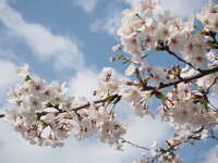 https://images.plurk.com/eCrDDlnVfNsVkhma59BSC.jpg