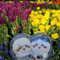https://images.plurk.com/eWbbPGkxnpbfPW7JqORhX.jpg