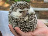 https://images.plurk.com/eidH89BkNOlsk46JGEVMD.jpg