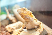 https://images.plurk.com/ejHVktryIgVmS0mO1iMCv.jpg