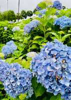 https://images.plurk.com/esjMhWQuRso5M59XoNBDS.jpg