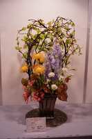 https://images.plurk.com/etd9NJJWQf2kwgaDwKMJD.jpg