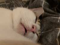 https://images.plurk.com/etnAv0P4zh8SOAVIO6HMg.jpg