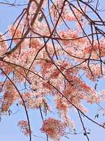https://images.plurk.com/eySW9eMC8iI2tTsZhXtA9.jpg
