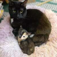 https://images.plurk.com/f1MnfLcGvzHK50ngasLXV.png