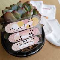 https://images.plurk.com/f1qxmbZs3cD93ijnpeAYa.jpg