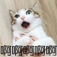 https://images.plurk.com/f28Vj7uVHjb9Vd0nveXHJ.png