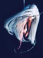 https://images.plurk.com/fCk09eEYGLIjCs9pWKH5.jpg