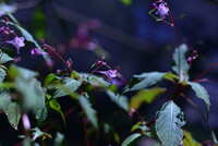 https://images.plurk.com/fFANpXKzWYNoJKrMD1a1g.jpg